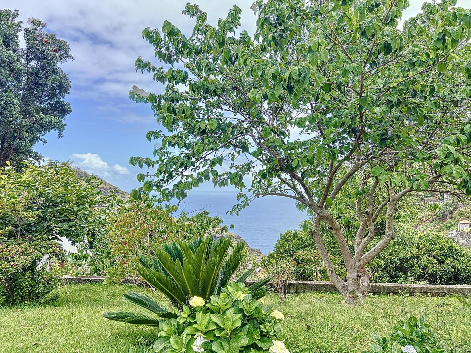 Quinta Do Serrado II Ribeira da Janela Ngoại thất bức ảnh